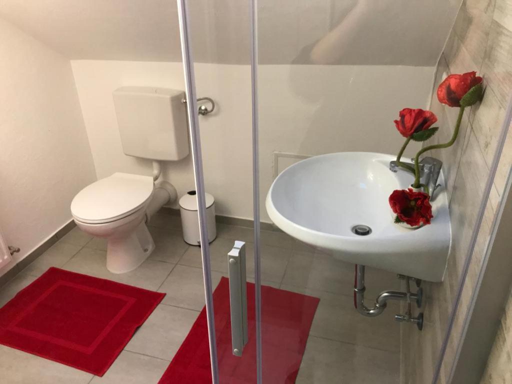 Haus Astenblick In Winterberg Fuer Bis Zu 35 Personen Fuer Wanderveranstaltungen Und Familienfeiern Εξωτερικό φωτογραφία